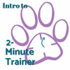 Intro to the 2-Minute Trainer Method