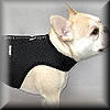 Wrap-N-Go Harness by Bark Appeal