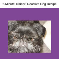 2-Minute Trainer 5: The Reactive Dog Recipe can help you with your reactive dog.