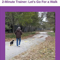 Your dog will want to walk with you