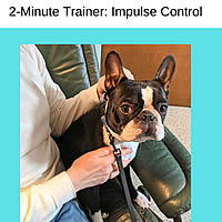 Your puppy or dog will learn self-control with the 5 fast, fun, effective games in this ebook.