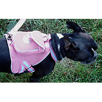 Gooby Backpack Harness for small dogs at Golly Gear comes with its own leash, is no-choke, practical and sporty!