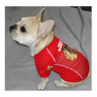 Official Chicago Blackhawks Jersey at Golly Gear