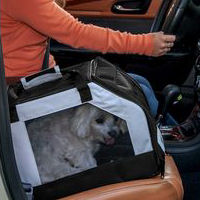 Car Seat Carrier