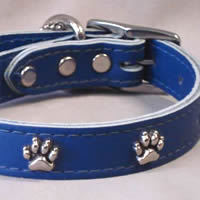 The Blue Paw Print Collar by OmniPet for little dogs.