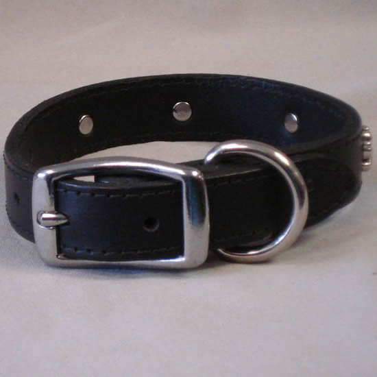 Paw Print Collar by OmniPet for Small Dogs from Golly Gear