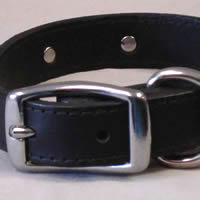 A close-up of the belt-type buckle on the Paw Print Collar for Small Dogs.