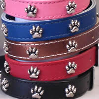The colors of the Paw Print Collar for Small Dogs.