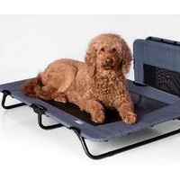 The Pet Gear Lifestyle Cot keeps your little dog off the ground. It folds easily for storage.