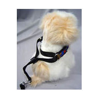 The EZCollar is easy to use. Pull the adjuster out, put the collar over your small dog's head and slide the adjuster down.