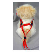 Adjust the front of the EZ Harness low on your little dog's chest and bring the straps over his head. Then you'll slide the adjuster down for a perfect fit.