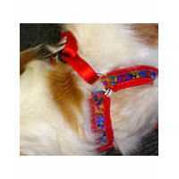 Here's a closeup of Tuffy wearing the EZ Harness & Leash set. No hardware!