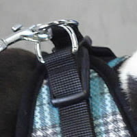 EZ Wrap - easy-to-use, no-choke step-in harness for small dogs.