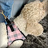 EZ Wrap Step-in Harness for Bichon Frise little dogs