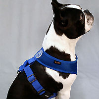 Freedom Harness by Gooby at Golly gear