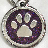 Give your dog some glitter!