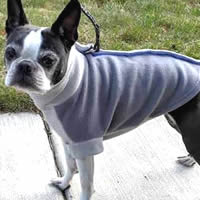 Booker the Boston in the Gray two-tone Highline Fleece Small Dog coat.