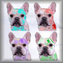 Plasticized Ted Designs for French Bulldog and Dog Lovers