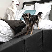 Charcoal Royal Ramp 21 inch ramp with landing gives your little dog extra room to transition onto the bed.