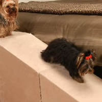 Royal Ramp for Small Dogs at Golly Gear