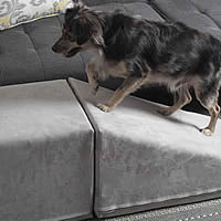 14' Royal Ramp with Landing gives your small dog a little more room to maneuver getting on the couch (shown in Platinum).