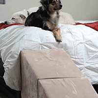 Royal Ramp in Oyster 21 inch ramp for little dogs makes it easy to get on the bed.