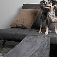 Royal Ramp, 14 inches, for small dogs pictured in Charcoal.