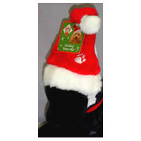 Santa Hat for Small Dogs at Golly Gear