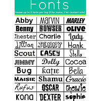 Fonts to customize your Gingham Twist Tag.