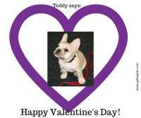 Teddy Says, 'Happy Valentine's Day!' at Golly Gear
