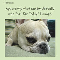 Teddy Says, 'Apparently That Sandwich Really Was Not For Teddy. Hmmph.' at Golly Gear