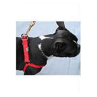 Timberwolf Rope Step-in Harness for small dogs at Golly Gear