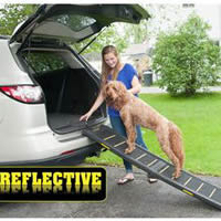Travel Ramp for Dogs at Golly Gear