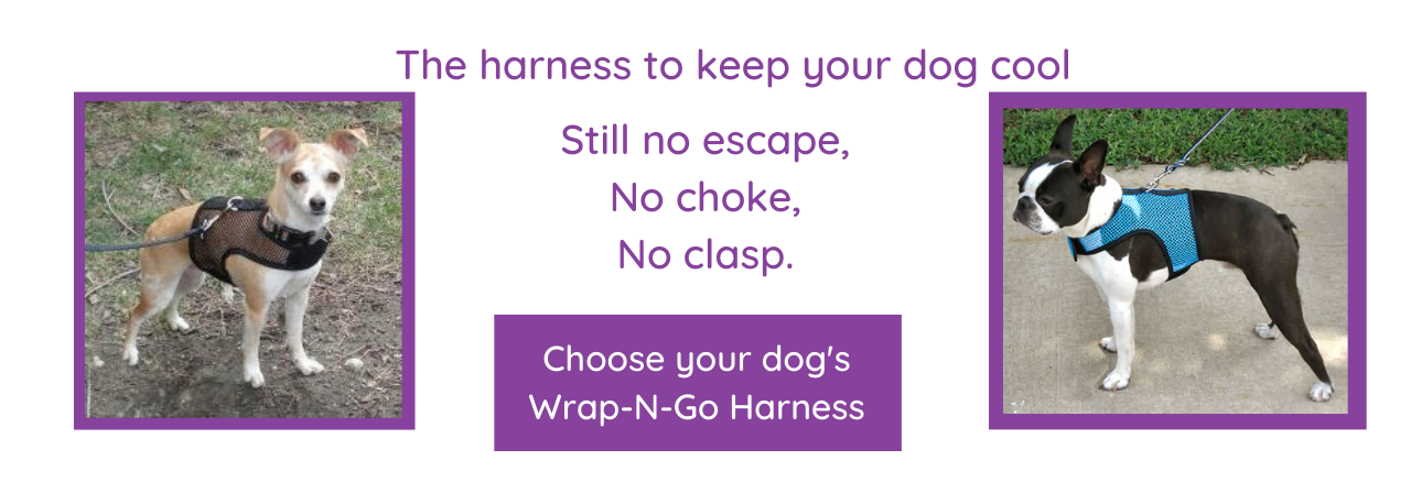 When it's hot outside, your dog will stay cool as well as safe in her Wrap-N-Go Harness.