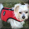 The Mesh Wrap-N-Go Harness is comfortable for all dogs, even fur-challenged ones like the Chinese Crested!