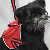 Backpack Harness & Leash Set by Gooby