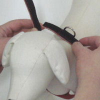 Start to lay the side of the harness with the leash ring on the dog's back.