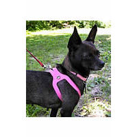 The pink choke-Free Shoulder Collar Harness looks great on Baby who is black!