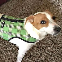 Sunny is wearing Size Large in the Green Plaid Wrap-N-Go Harness.