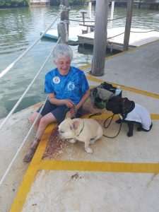 Hope took Teddy and Torque to see the dolphins at the Dolphin Research Center. Dogs are welcome there, and Hope was prepared - notice Torque's K9 Kool Coat and her bag of ready - including water, treats, and bowl.