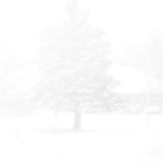 blizzard scene