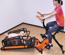 dog on treadmill and woman on exercise bike