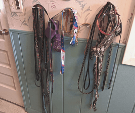 dog stuff - leashes and collars