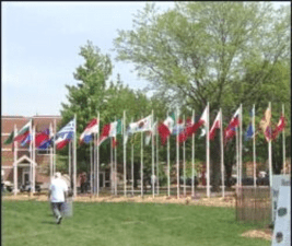 Festival of Cultures Flag display 