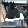 Car Booster Seat for Small Dogs