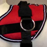 Reflective stitching around the trim of the No-Pull Harness makes your small dog easy to see in low light.