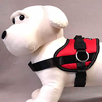 The No-Pull Harness is easy to put on your little dog and is no-choke.