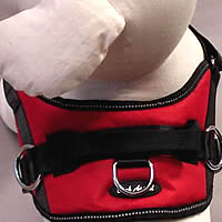 The No-Pull Harness by Bark Appeal has 3 leash rings for your convenience.